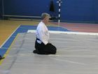 Shihan Dan Ionescu